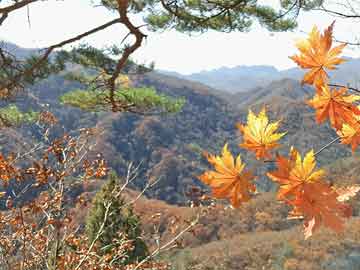 晟峰說易合集滴天髓與五行生克民間技法實務集成視頻課程百度網盤下載學習